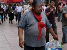 funny-picture-1023360635