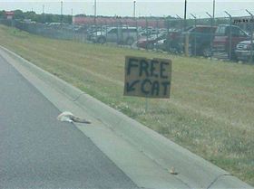 FreeCat