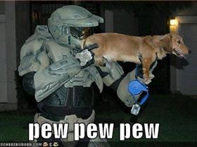 halo-dog-pew