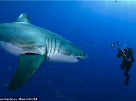 article-1224900-07102480000005DC-709 634x419