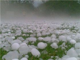 24483 379092730078 507495078 4270006 337237 n