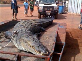 !cid 280A26FDD3DD46E799B5BC6423A3EEE4@your8abc512da0