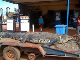 !cid ACDDA0D8230548A4A525E730792D8EB9@your8abc512da0