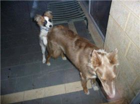 21846 104478706237514 100000261559515 118824 6159618 nmilo-reuf