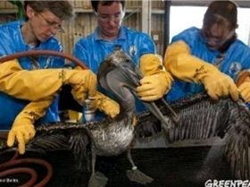 34500 411173451942 515606942 4714255 369216 n