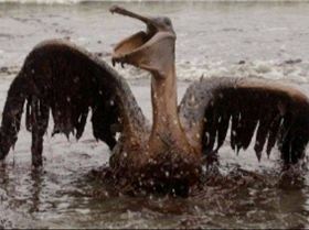 35094 411170766942 515606942 4714130 5648510 n