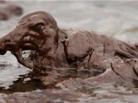 37741 411170851942 515606942 4714131 4339658 n