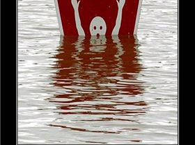 user31330 pic6999 1260400298