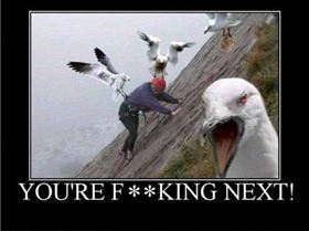 They are out there..