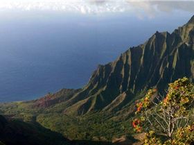 Kalalau pan for parents
