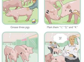 pig-prank