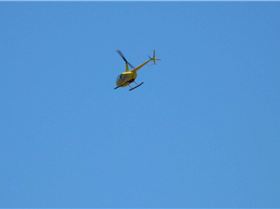 tried out my new Lumix FZ40