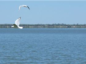 tried out my new Lumix FZ40