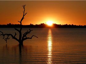 tried out my new Lumix FZ40