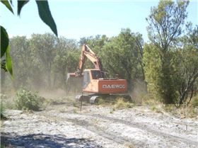 199691 1889681643098 1273187927 32155416 2164716 n