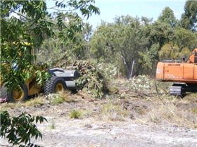 197427 1889686243213 1273187927 32155446 5041473 n