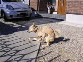 Someone for everyone