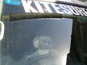 34750 1491481282532 1099010401 1397523 5042458 n