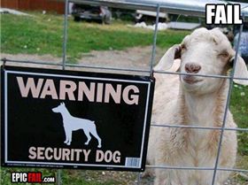 security-dog-fail-warning