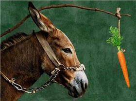 donkey and carrot