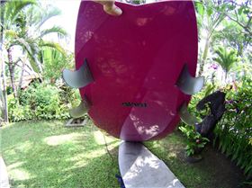 islands and bali 139