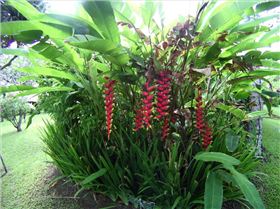 islands and bali 131