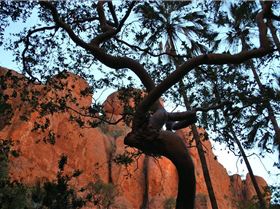 Ben and Liz wedding trip (875)