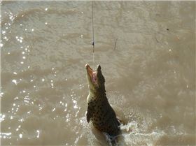 THE VIEW FROM A BIGGER BOAT