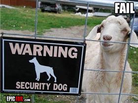 security-dog-fail-warning