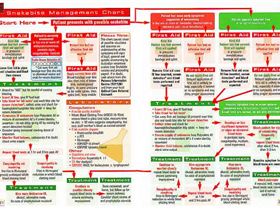 Snakebite Management Flow Chart