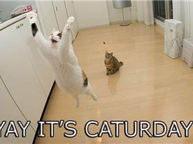 294655 158379194254066 100002459597803 310627 154404945 n