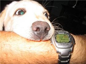 n535706955 1473006 8754