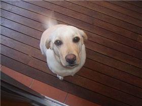 n535706955 1472982 4966