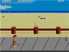 California Games - 1989 - Sega