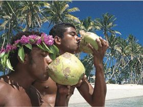 Island boys driking fresh coconuts