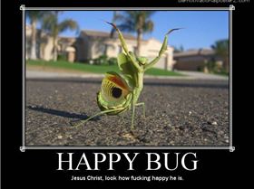 84817 happy bug 123 89lo