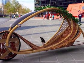 bamboo bike