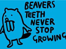 interesting facts beavers1