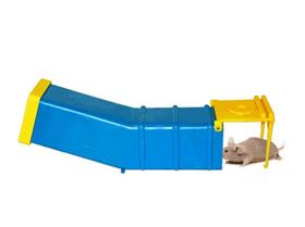 mouse trap