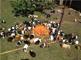 545156 10151442337730603 741315602 23410794 127206985 n