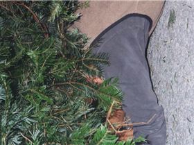 15-04-2012 4;11;24 PM