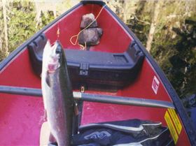 15-04-2012 4;11;28 PM