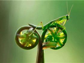 544611 364468970272105 189287804456890 1116997 878875353 n