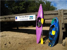 Perception Pirouette + Bliss Stick Flip Stick