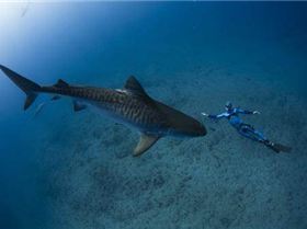 544637 10150794488152629 723632628 11863873 1601199885 n - Copy