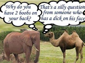 557248 438167879548113 2036171684 n