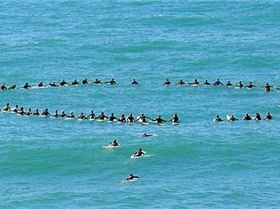 483998 459154857442394 1358292128 n