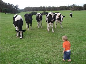 Farm trip Jul 09 083