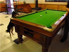 Local at Whitemark Pub.  Sea kayak Xing of Bass Strait.