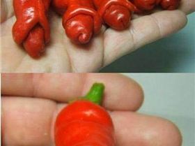 peppers